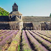 Provence 2017